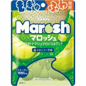 カンロ マロッシュ メロンソーダ味４６ｇ  ×6