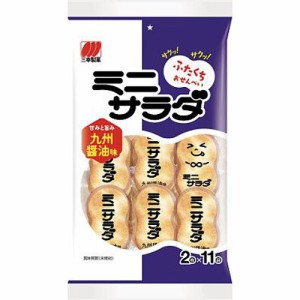 三幸製菓 ミニサラダ 九州醤油味２２枚 ×16