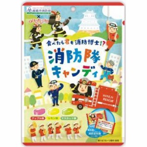 扇雀飴 消防隊キャンディ７０ｇ  ×10