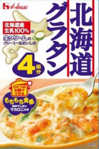 ハウス食品 北海道グラタン４皿分 １６４ｇ  ×40