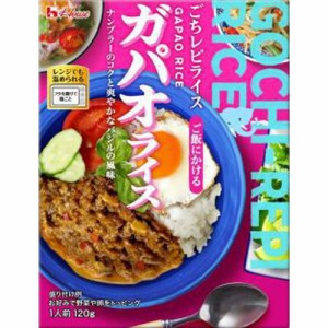 ハウス食品 レトルトごちレピライスガパオライス  ×60