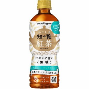 ポッカサッポロフード かごしま知覧紅茶 無糖Ｐ５２０ｍｌ  ×24