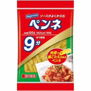 はごろも ペンネ １００ｇ  ×20