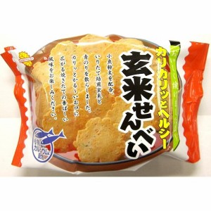 かしわ堂 玄米せん ７０ｇ   ×15