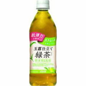 ダイドー 肌美精 玉露仕立て緑茶プラスＰ５００ｍｌ ×24