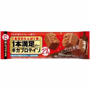 アサヒグループ食品 １本満足バー ギガプロテインチョコ  ×9