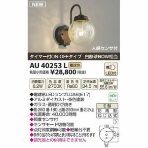 【納期目安：１週間】コイズミ 【送料無料】AU40253L LED防雨型ブラケット