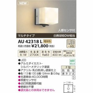 【納期目安：１週間】コイズミ 【送料無料】AU42318L LED防雨ブラケット