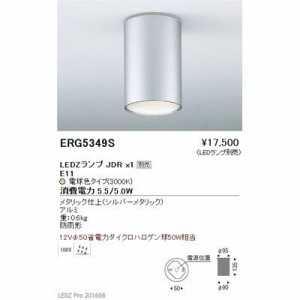 遠藤照明 ERG5349S STYLISH LEDZ series 軒下用シーリングダウンライト