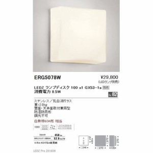 遠藤照明 【送料無料】ERG5078W アウトドア ブラケット〈LEDランプ別売〉