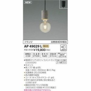 【納期目安：１週間】コイズミ 【送料無料】AP49029L ペンダント(LED[電球色])
