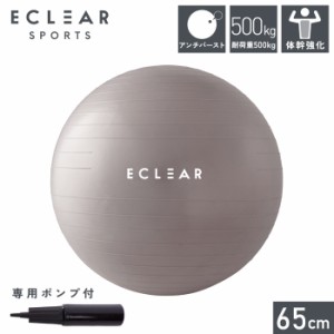 エレコム HCF-BB65GY バランスボール 65cm アンチバースト 筋トレ 体幹トレーニング ダイエット 専用ポンプ付き 耐荷重500kg (HCFBB65GY)