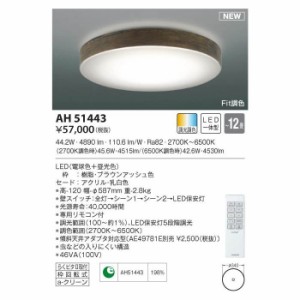 【納期目安：１週間】コイズミ 【送料無料】AH51443 LEDシーリング