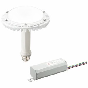 岩崎電気 【送料無料】LDRS-H400/2A 作業灯・照明用品/電球(LED) LEDioc LEDアイランプSP(101W) (LDRSH400/2A)