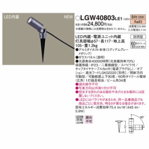 パナソニック LGW40803LE1 スポットライトスパイク広角3000K