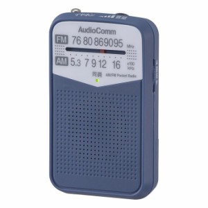 オーム電機 【送料無料】RAD-P133N-A 2バンドPラジオ P133 ブルー (RADP133NA)