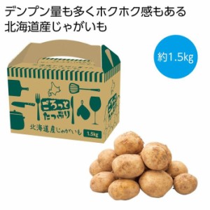 【送料無料】2564420 【16個セット】ごろっとたっぷり 北海道産じゃがいも1.5kg