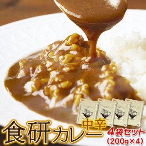 天然生活 【送料無料】SM00011161 【ゆうパケット出荷】20種類以上のスパイス使用!美味しいレトルト食研カレー4食(200g×4袋)