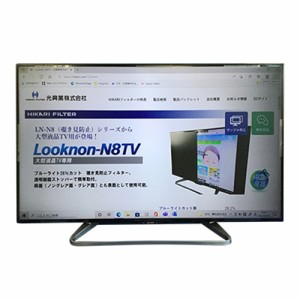 【納期目安：２週間】光興業 【送料無料】LNW-42N8TVF 大型液晶TV用保護フィルター(覗き見防止タイプ)LN-N8TV 42インチ ベゼルレス用 (LN