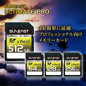 サンイースト 【送料無料】SE-SDU2128GB280 SDXC UHS-II Card V60シリーズ128GB (SESDU2128GB280)