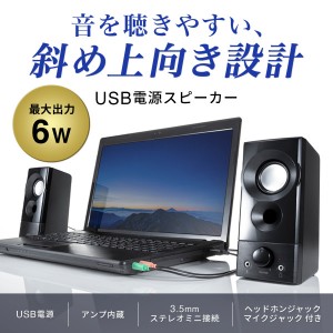 サンワサプライ MM-SPL20UBK USB電源スピーカー(実用最大出力6W) (MMSPL20UBK)