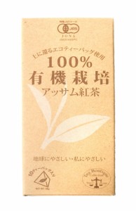  【オーガニック】 アッサム ティー ティーバック 【10パック】 【Tea Boutique】 / インドのお茶 Boutique（ティーボテキュエ） チャイ 