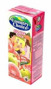  グァバ ジュース 【250ｍｌ】 【Country choice】 / インドネシア 東南アジア グァバジュース choice（カントリーチョイス） タイ 食品 