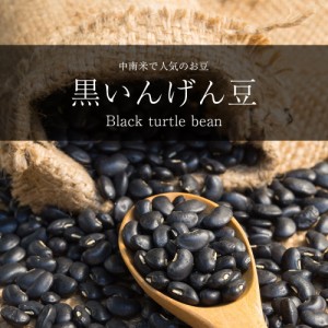  黒いんげん豆 Black turtle bean【1kgパック】 / ダール フェイジョン 黒豆 スパイス カレー アジアン食品 エスニック食材