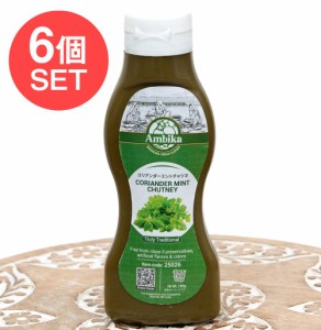  【6個セット】コリアンダー ミント チャツネ CORIANDER MINT DHUTNEY 190g / さっぱり 草の味 アンビカ インド レトルト カレー アジア