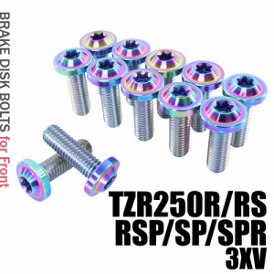 チタンボルト ヤマハ TZR250R RS RSP SP SPR 3XV専用 ブレーキディスクボルト フロント用 12本セット M8×25 P1.25 焼き色 軽量化 カスタ