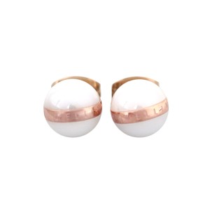 [即日発送]ダニエルウェリントン レディース スタッドピアス イヤリング/Daniel Wellington ASPIRATION EARRINGS ロゴ刻印 ステンレス ス