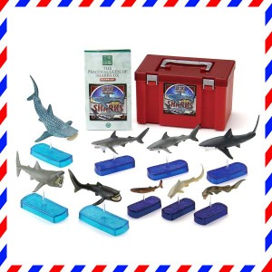 カロラータ サメの仲間 フィギュア ボックス ( 9種 / 立体図鑑 / 解説書・スタンド付き ) サメ 海の生き物 海・・・