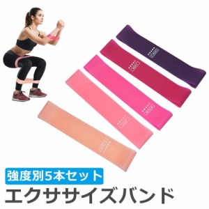 エクササイズバンド 強度別5本セット トレーニングバンド トレーニングチューブ ゴムバンド ヒップアップ 器具 美尻 ダイエット ヨガ ス