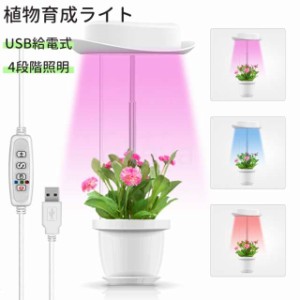 植物育成ライト 植物育成LED 2個 セット 水耕栽培キット USB給電式 植物用ledライト タイマー機能付き ヘリオスグリーンled ハテラスライ