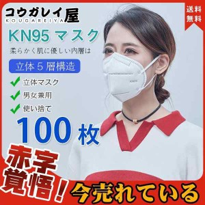 期間限定セール KN95マスク 米国同等 100枚入 使い捨て 5層構造  立体マスク  PM2.5 風邪 3D立体 安全性良い 男女兼用 防塵 飛沫感