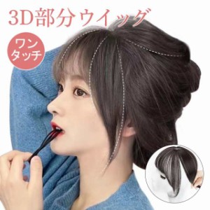 ウィッグ 前髪ウィッグ 3D構造 白髪かくし レディース エクステ ポイントウィッグ 女性 かつら 部分ウィッグ エクステ ワンタ