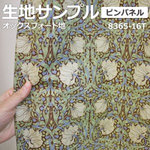 生地サンプル（有料） モダ・ファブリックス モリス ピンパネル (Y) 8365-16T PIMPERNEL 引っ越し 新生活