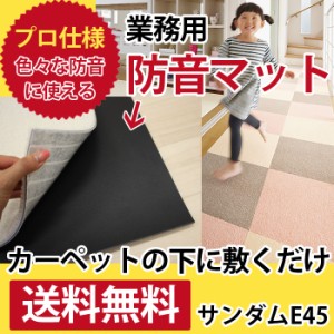 遮音シート サンダムE45 (Ry) 約91cm×91cm 4枚セット×9セット (計36枚) 防音マット 引っ越し 新生活