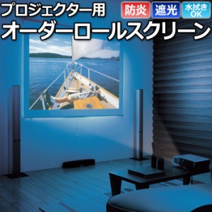 プロジェクタースクリーン プロジェクター用 タチカワ フェアII（シールドなし） RS-8559 幅200cm×丈300cm以内でサイズオーダー ロール