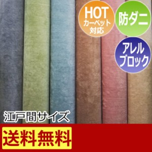 防ダニ カーペット 江戸間 六畳 6畳 6帖 約261×352cm アレルゲン抑制 防ダニ 花粉対策 床暖対応 ホームミスト (S) 高品質 日本製