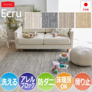 洗える ラグ カーペット マット 北欧 おしゃれ オシャレ デザイン ウォッシャブル 約130×190cm Ecru エクリュ(S) アレルブロック 防ダニ