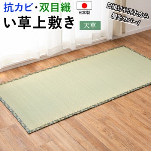 ラグ い草 上敷き ござ 畳 日本製 敷物 夏用 江戸間 八畳 8畳 8帖 約352×352cm 天草 (H) カーペット マット 抗カビ 双目織 高品質 絨毯 