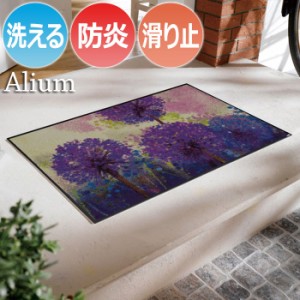 Wash+dry ウォッシュドライ 洗える 玄関マット H016A Alium アリウム (R) 約50×75cm フロアマット キッチンマット 屋外 屋内 デザインマ