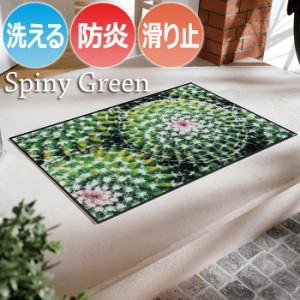 Wash+dry ウォッシュドライ 洗える 玄関マット H017A Spiny Green スパイニーグリーン (R) 約50×75cm フロアマット キッチンマット 屋外