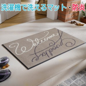 Wash+dry ウォッシュドライ 洗える 玄関マット Swinging Welcome スイミングウェルカム(R) A015A 約50×75cm キッチンマット 屋外 屋内 