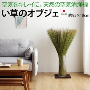 観葉植物 い草 オブジェ インテリア 置物 日本製 消臭 空気清浄 調湿 畳のもと (I) 約95×10cm ナチュラル お手入れ簡単 オシャレ 置くだ