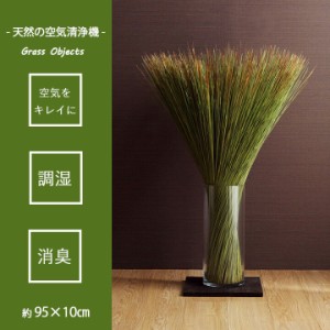 国産 日本製 い草 インテリア オブジェ 消臭 空気清浄 ナチュラル 植物 置物 95×10cm 畳のもと 送料無料