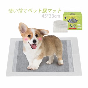 ペットシーツ レギュラー ワイド ペットシート 安い 薄型 使い捨て 犬 猫 トイレシート ペット トイレ用品 小型犬 中型犬 大型犬 猫 うさ