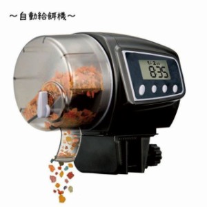 自動 餌 自動給餌機 エサ new 熱帯魚 観賞魚 金魚 水槽用 餌やり機 エサ エサやり 自動給餌器 自動餌やり 自動えさやり 留守 旅行 お出か