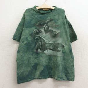 古着 半袖 Tシャツ キッズ ボーイズ 子供服 恐竜 ティラノサウルス コットン クルーネック 緑他 グリーン タイダイ 中古 古着